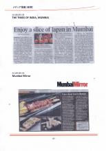 THE-TIMES-OF-INDIA-@INDIA-15-Mar-2013.jpg